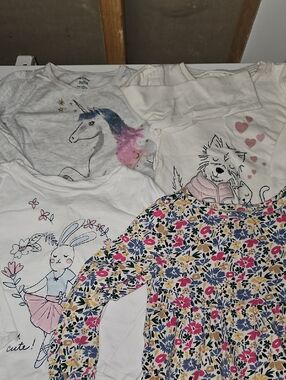 Toddler Girl 3T Unicorn, Bunny & Floral Long Sleeve Bundle - gap and Carters